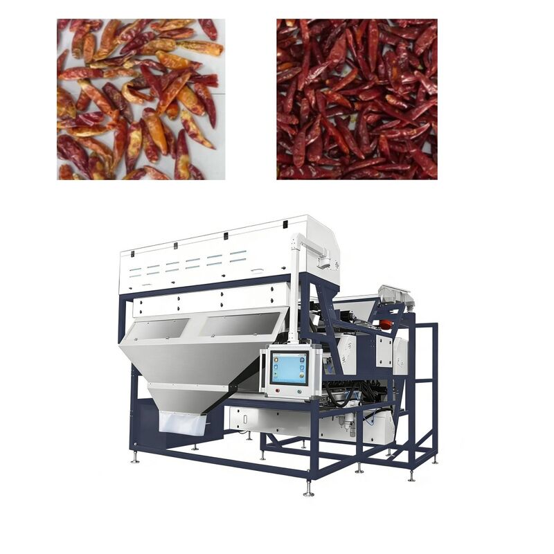 DeepSort Crawler 3T/H - AI-Powered Almond Color Sorter