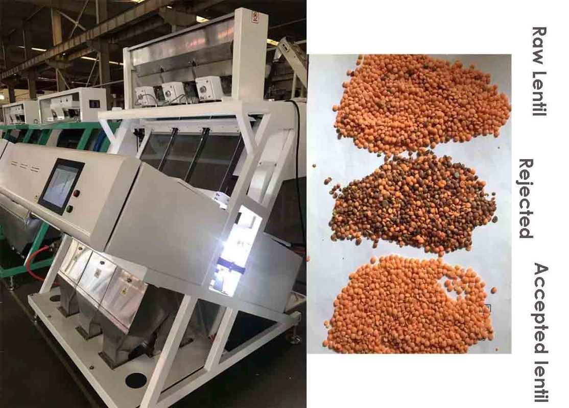 3 Chutes Grain Sorting Machine 99.99% Accuracy 1.5 Ton/H Capacity For Red Lentils