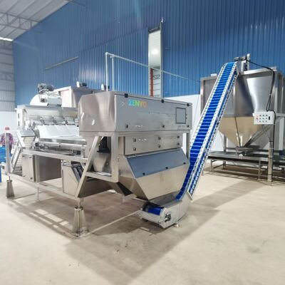 Intelligent Automatic Cashew Shell-Kernel Separation Sorter With Single-Deck Belt