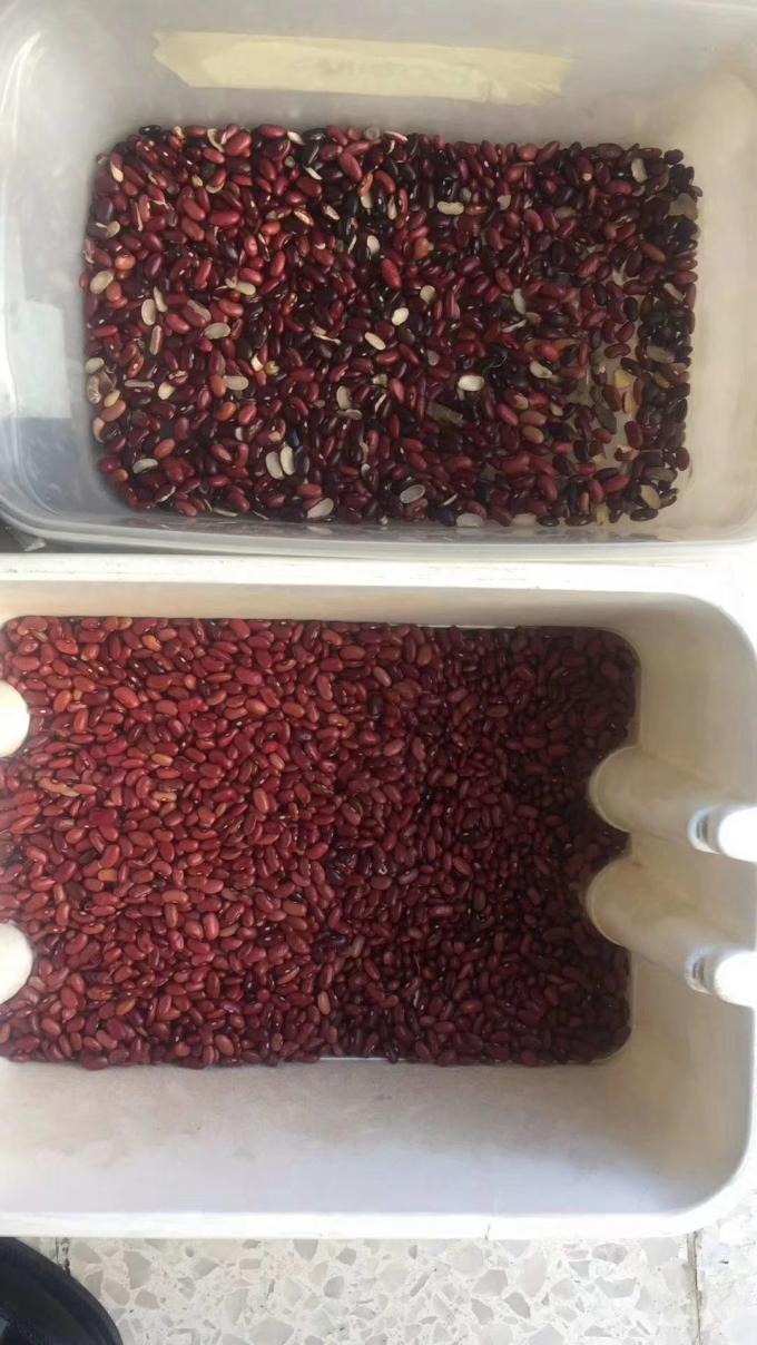 Small Red Beans CCD Color Sorter With Secondary Sorting Option
