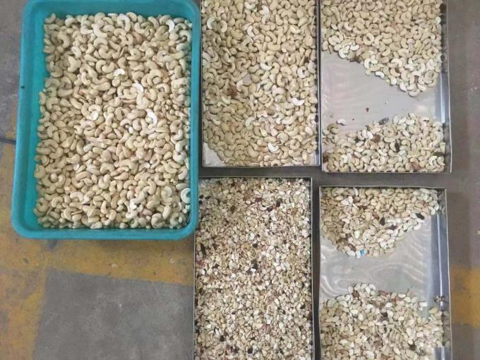 MINI CCD Color Sorter Machine For Cashew Nuts 900Kgs/H