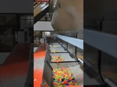 Belt-Type Color Sorter for Plastic flakes and Pellets