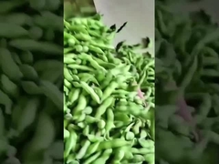Edamame color sorter