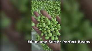 180 Crawler-Type Edamame Color Sorter -High Capacity & Low Breakage.