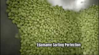 Belt-Type Color Sorter for Frozen Edamame Beans