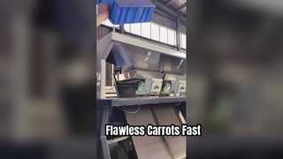80-Channel Small Multi-Purpose Intelligent Color Sorter For Dried Carrots