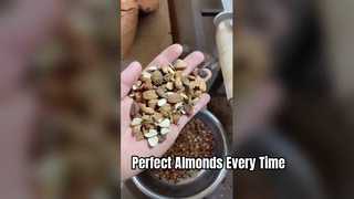 Belt-Type Color Sorter for Almonds.