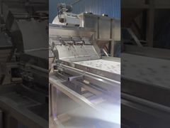 Double-layer belt-type cashew color sorter.