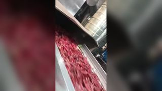 Two tracked chili color sorters