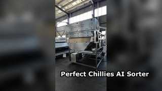 Belt-type color sorter