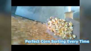 Color sorter for selecting corn