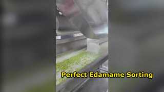 120 Crawler-Type Edamame Color Sorter