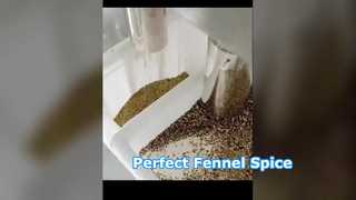 Fennel Color Sorter