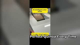 High Efficiency Color Sorter for Premium Quinoa