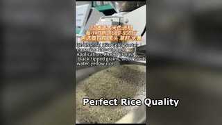 32-Channel Rice Color Sorter for Small to Medium Rice Mills.