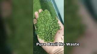 AI Belt-Type Color Sorter for Basil